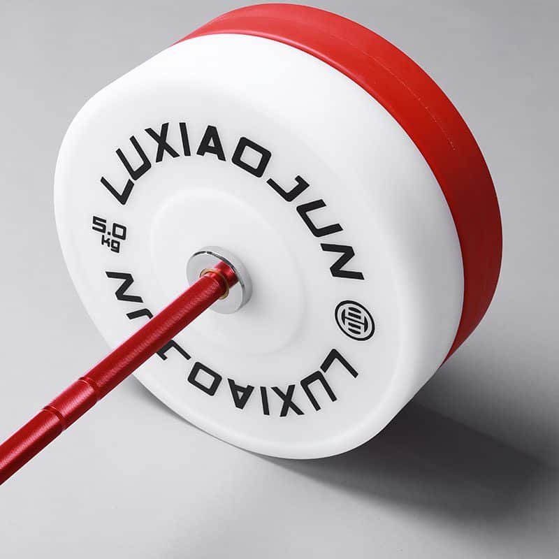 LUXIAOJUN Technique Plates (pair)